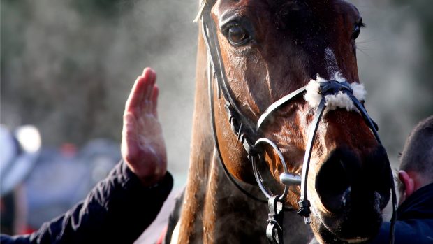 sub-clinical-respiratory-disease