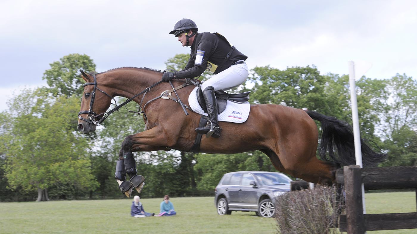 British Eventing seven-year-old champions: DHI Zatopek B - John-Paul Sheffield