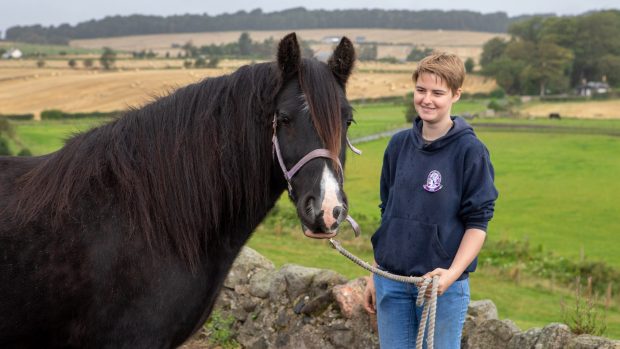 World Horse Welfare Alicia