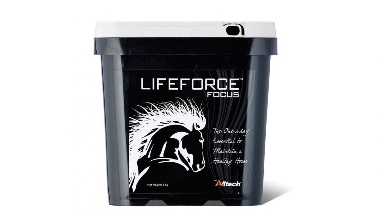 Veteran supplements for older horses: what’s on the market?