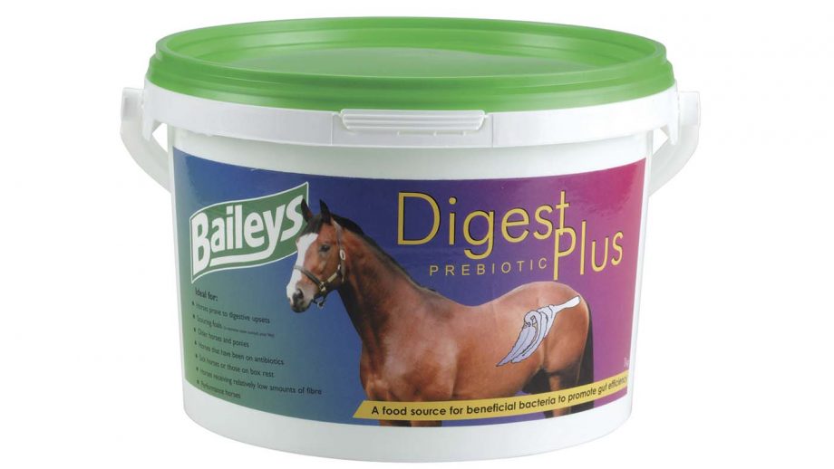 Best gut balancers for horses what’s on the market? Horse & Hound