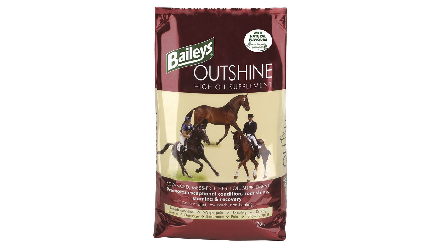 Veteran supplements for older horses what’s on the market?