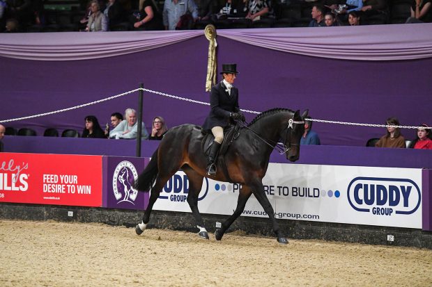 how to show a riding horse