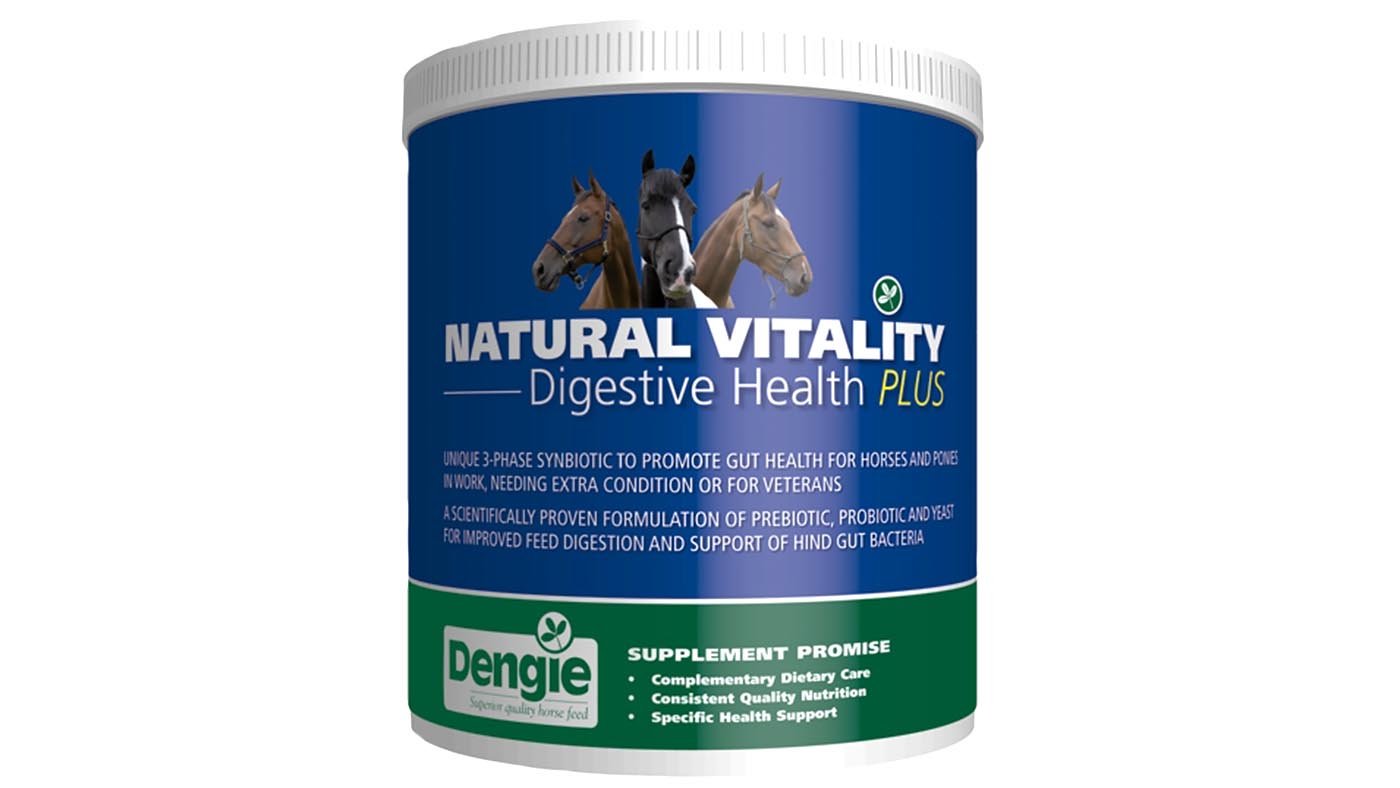 Digestive supplements for horses what’s on the market?