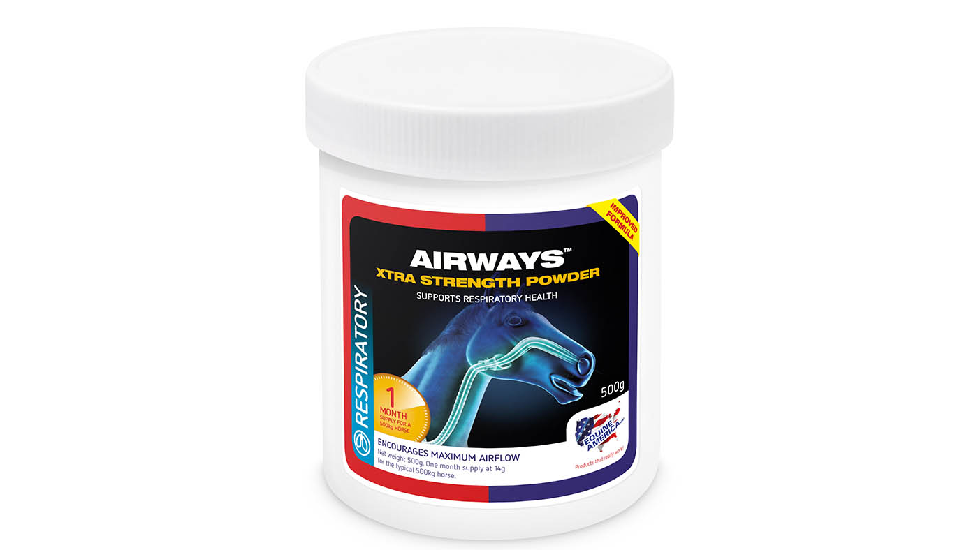 Respiratory supplements for horses what’s on the market?