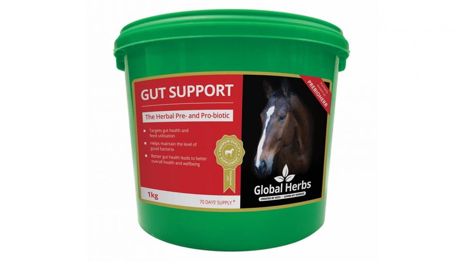 Best gut balancers for horses what’s on the market? Horse & Hound
