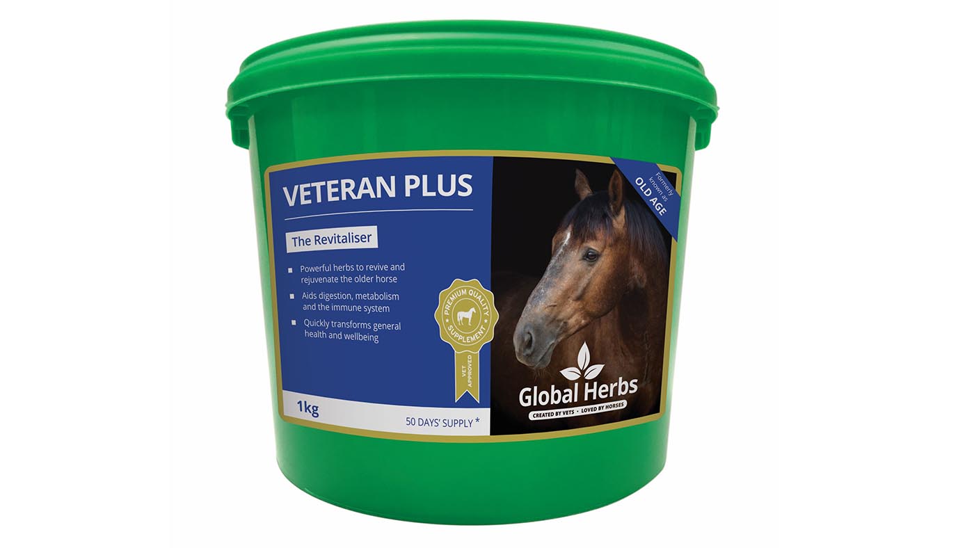 Global Herbs supplements for older horses