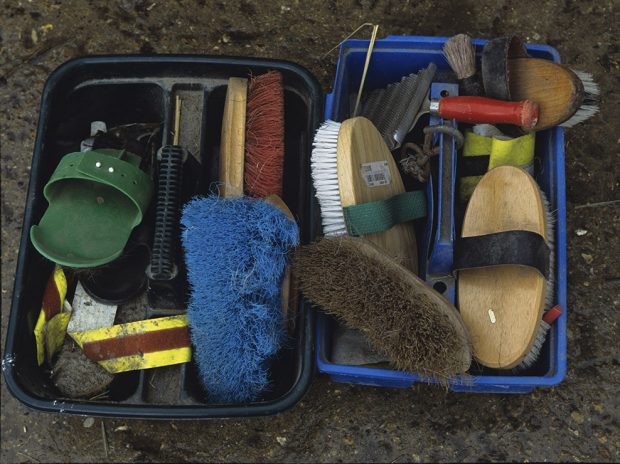 Grooming kit kits brushes brush