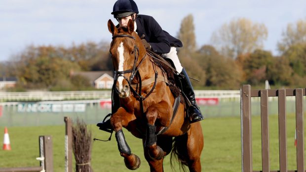 racing to hunting challenge