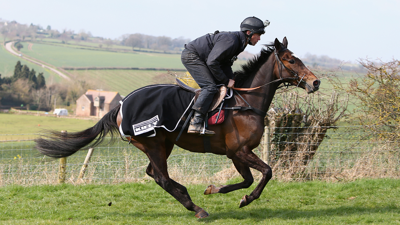 ROSS-ON-WYE, ENGLAND - MARCH 26:  Trainer Michael Scudamore rides Monbeg Dude, third favourite for the Grand National, on a hill above his racing gallops on March 26, 2014 in Ross-on-wye, England.  (Photo by Michael Steele/Getty Images)