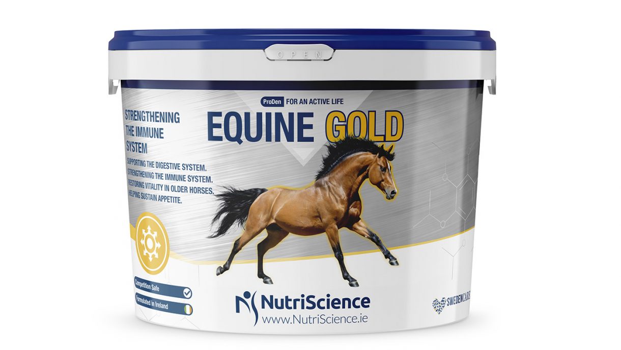 Veteran supplements for older horses what’s on the market?