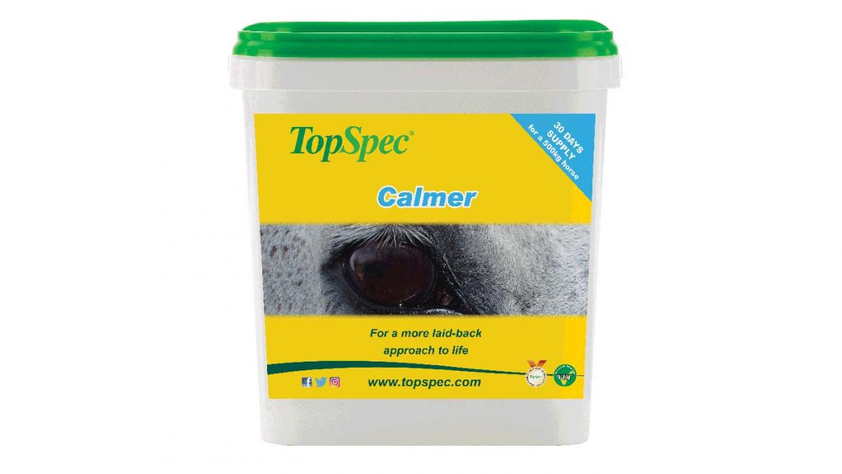 Best calming supplements for horses what’s on the market?