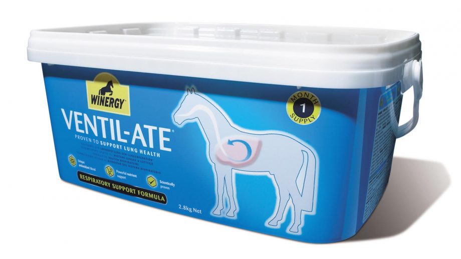 Respiratory supplements for horses what’s on the market?