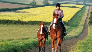 Sophie Buckley exercising a yearling on the gallops from her hunter