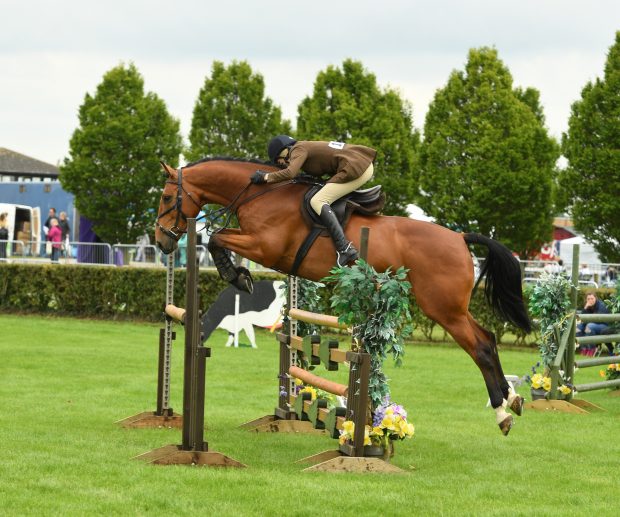 Lincs. Show 19.06.19 Working Hunter Class winner No. 109 Little Rock