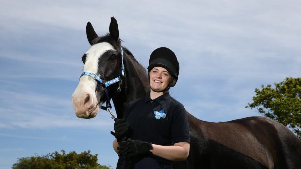 ROLLESTON ON DOVE, ENGLAND, MAY 15: Shadow at Rolleston Blue Cross centre, Rolleston on Dove, UK on May 15th 2019