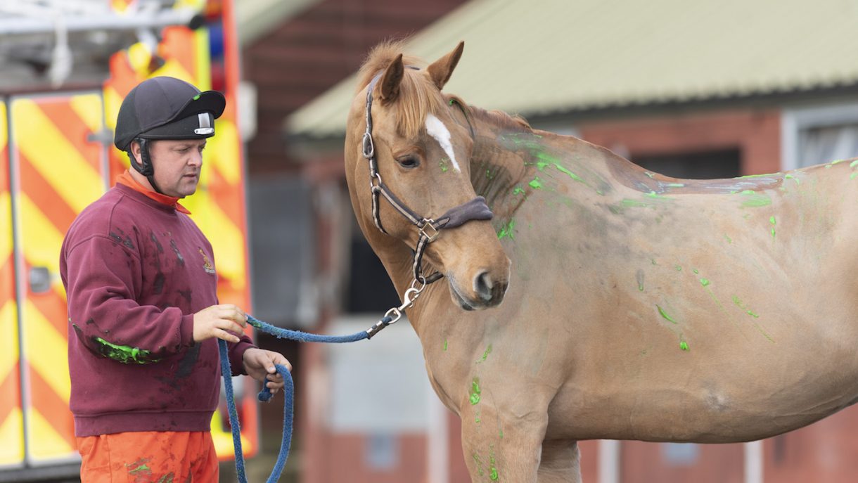 Terrified rider’s warning after horses ‘disappear’ in quicksand Horse