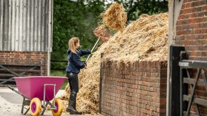 Could horse poo hold the key to life on Mars? Image shows a groom forking a muck heap