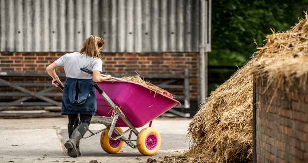 mucking out groom yard