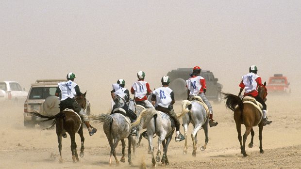 BBAFTY Endurance riding in Dubai