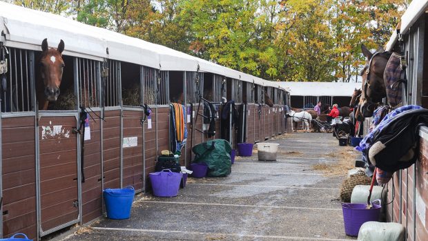 Temporary stables at HOYS 2011