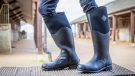 Muck Boot Unisex Colt Ryder Tall boots review