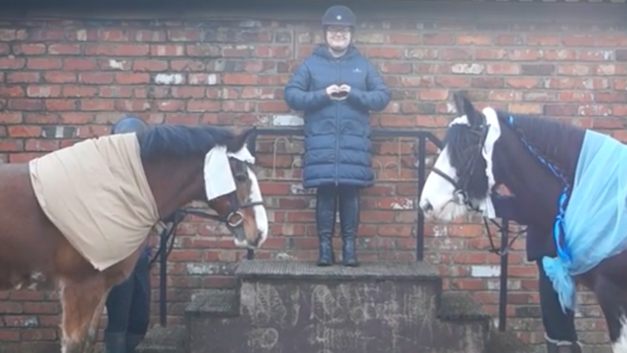Equine Mary and Joseph join canine Angel Gabriel in horsey Nativity