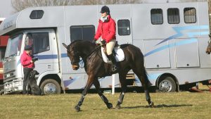 The signs of Azoturia/ERS are typically seen during the warm up section of a horse’s exercise session.