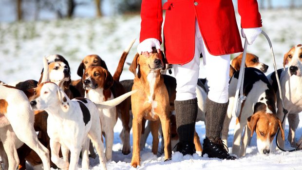 DAHNF6 Rivington boxing day hunt fox hunting dogs snow winter cold