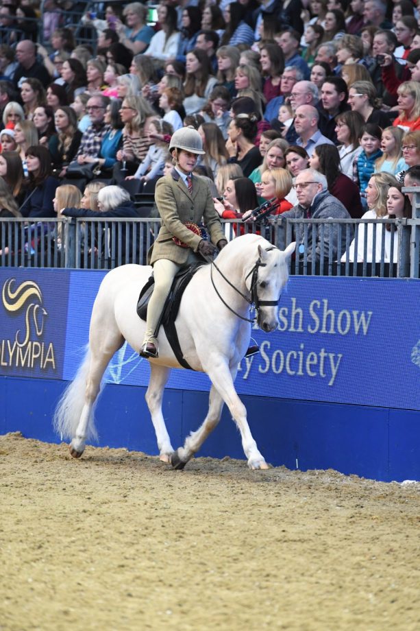 Celebrating the 12 natives who took best of breed titles at Olympia
