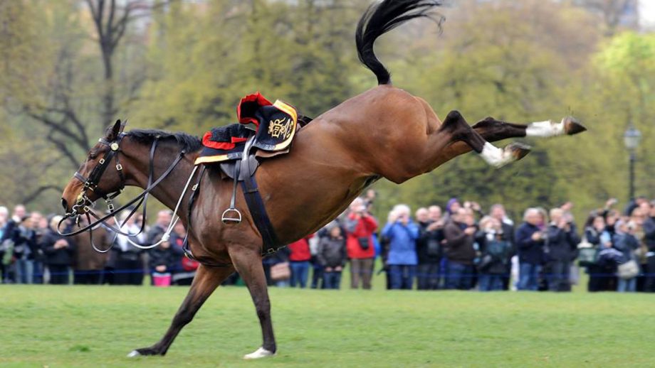 King's Troop Royal Horse Artillery