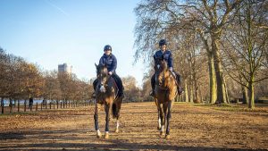 Horse riding in London can be found at Hyde Park Stables