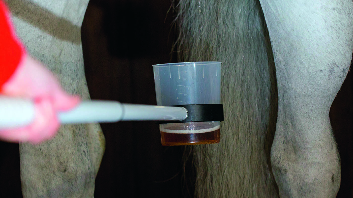 Ban for rider who ‘ran away’ and ‘escaped’ from anti-doping pattern assortment