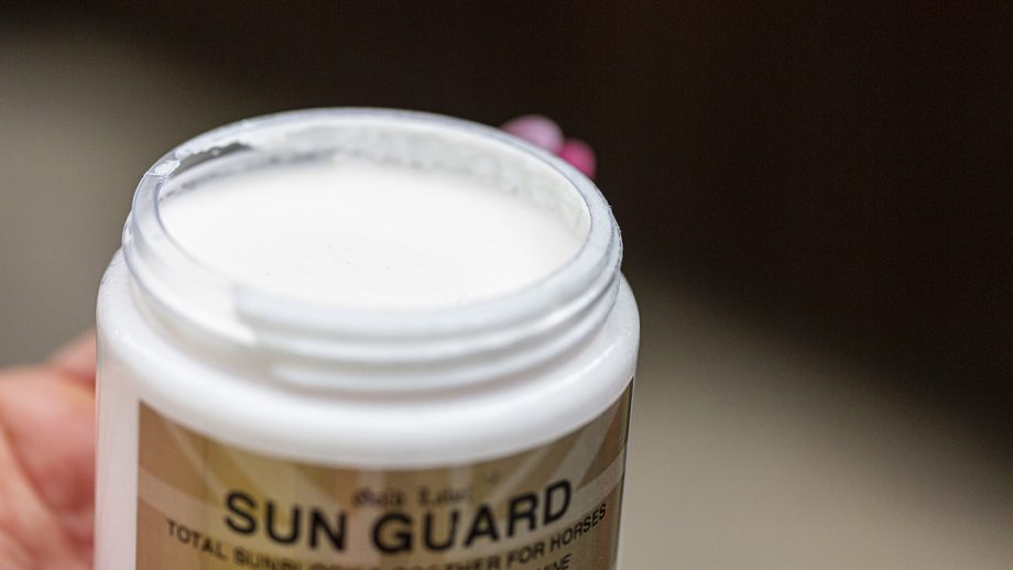 Gold Label Sun Guard review