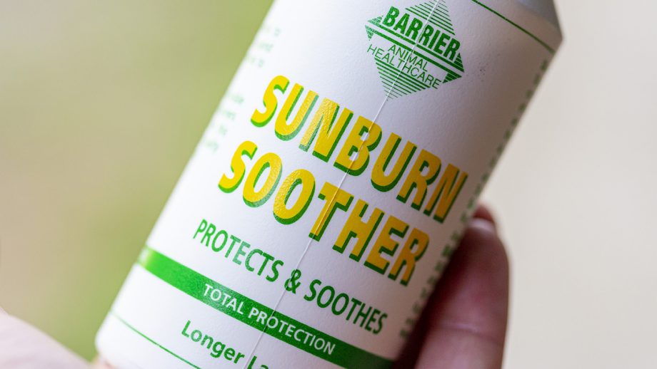 Barrier Sunburn Soother review