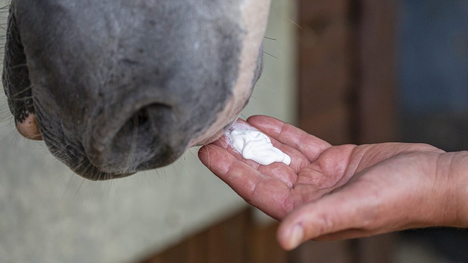 Barrier Sunburn Soother review