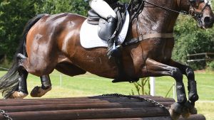 Aston H/T 08.08.19 Sect . D Allstar B _ Ross Canter No. 188