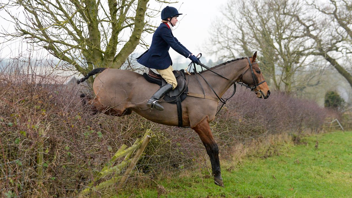 Goodnight — Tessa Waugh’s hunting diary Rattling off for a short day