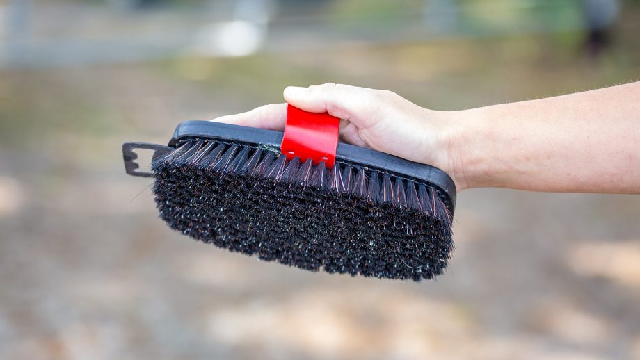 Equerry Luxury XLH body brush review