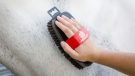 Equerry Luxury XLH body brush review