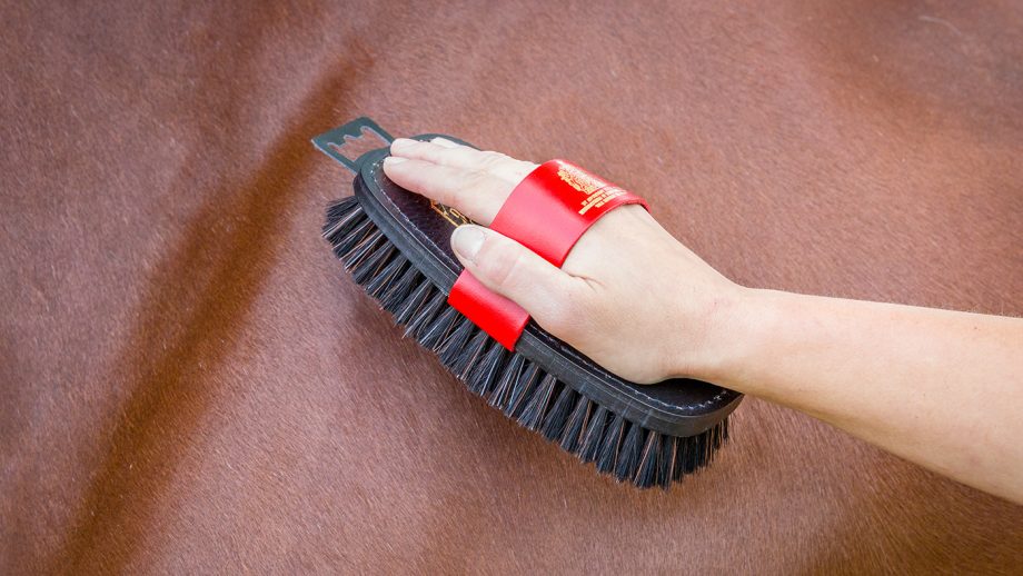 Equerry Luxury XLH body brush review