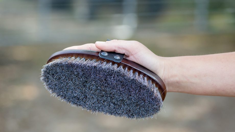 HyShine Deluxe horse hair wooden body brush review