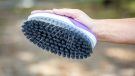 KBF99 anti-bacterial body brush