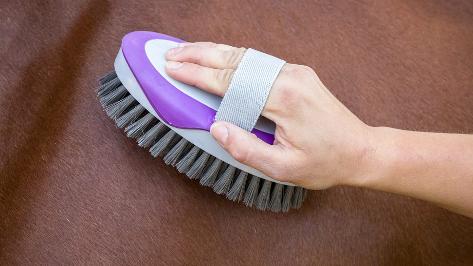 KBF99 anti-bacterial body brush review