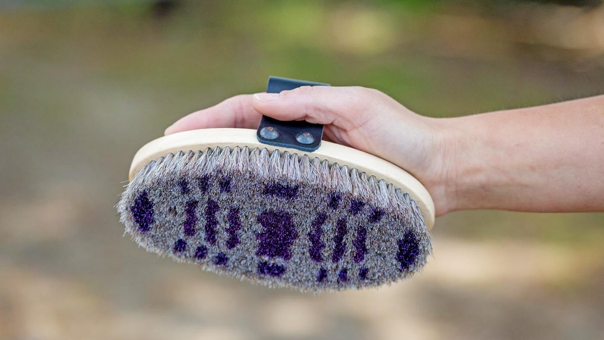 LeMieux Heritage dapple body brush review Horse & Hound