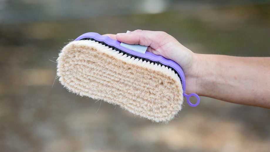 Shires Ezi-Groom Contour goat hair body brush review