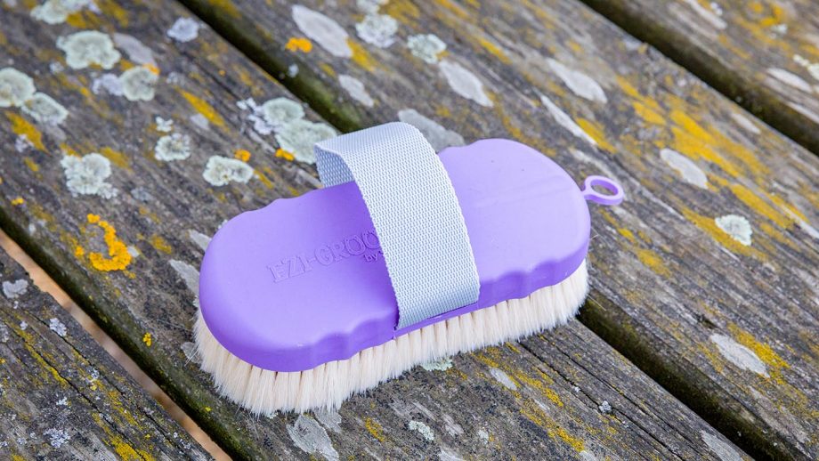 Shires Ezi-Groom Contour goat hair body brush review