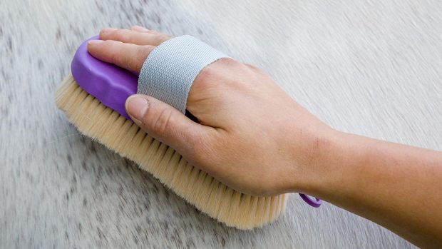 Shires Ezi-Groom Contour goat hair body brush review