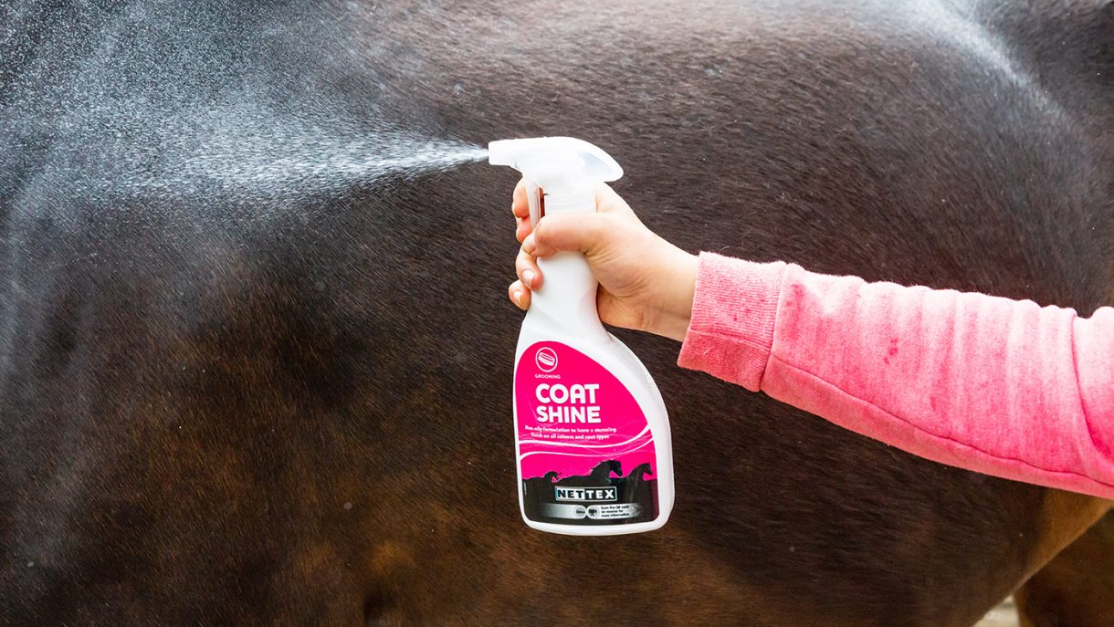 Best grooming kits for horses and all budgets Horse & Hound