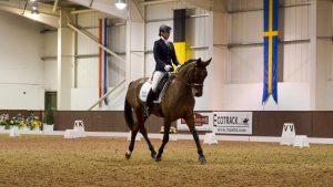 H&H DRESSAGE TRAINING EDRESSAGE NICOLA MCCLURE PRELIM VIDEOS